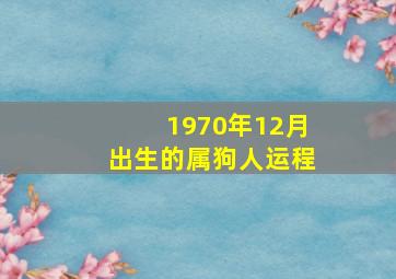 1970年12月出生的属狗人运程