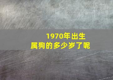 1970年出生属狗的多少岁了呢