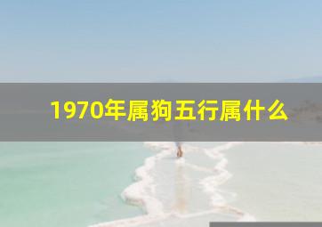 1970年属狗五行属什么