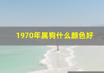 1970年属狗什么颜色好