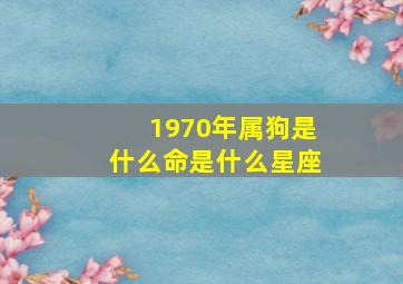 1970年属狗是什么命是什么星座