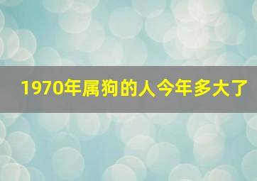 1970年属狗的人今年多大了