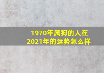 1970年属狗的人在2021年的运势怎么样