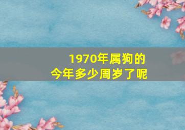 1970年属狗的今年多少周岁了呢