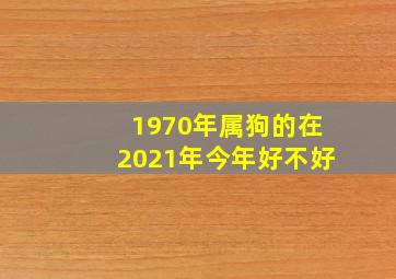 1970年属狗的在2021年今年好不好