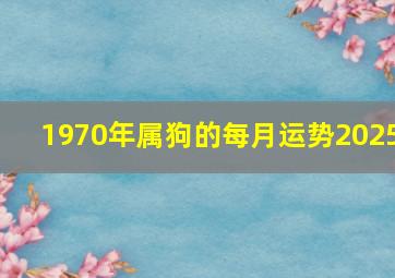 1970年属狗的每月运势2025