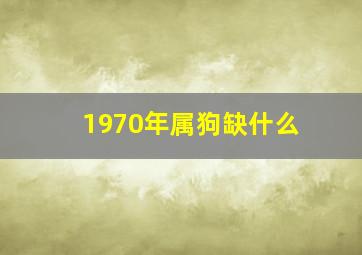 1970年属狗缺什么