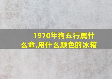 1970年狗五行属什么命,用什么颜色的冰箱