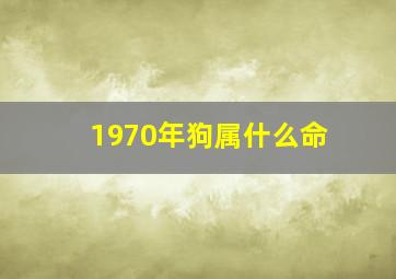 1970年狗属什么命