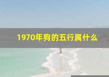 1970年狗的五行属什么