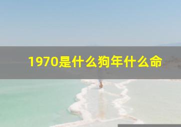 1970是什么狗年什么命