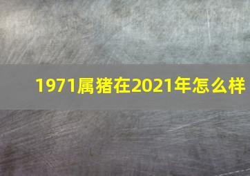 1971属猪在2021年怎么样