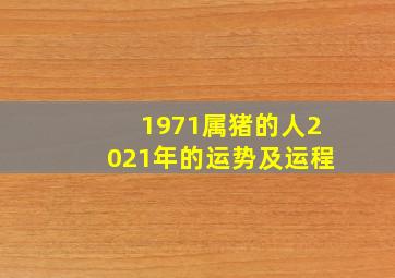 1971属猪的人2021年的运势及运程