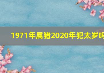 1971年属猪2020年犯太岁吗