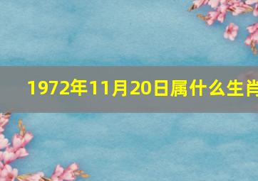 1972年11月20日属什么生肖