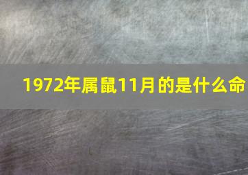 1972年属鼠11月的是什么命