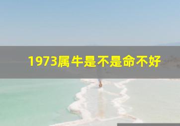 1973属牛是不是命不好