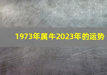 1973年属牛2023年的运势