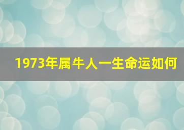 1973年属牛人一生命运如何