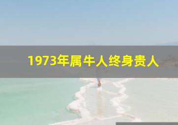 1973年属牛人终身贵人