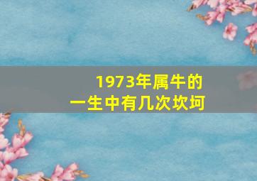 1973年属牛的一生中有几次坎坷