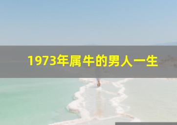 1973年属牛的男人一生