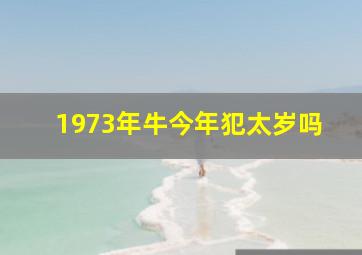 1973年牛今年犯太岁吗