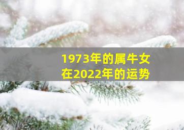 1973年的属牛女在2022年的运势