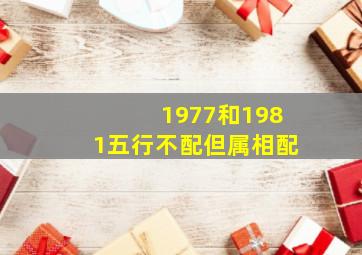 1977和1981五行不配但属相配