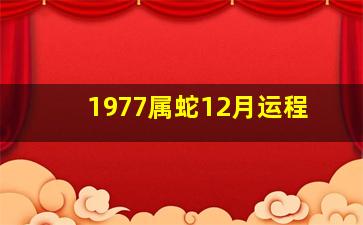 1977属蛇12月运程