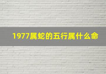 1977属蛇的五行属什么命