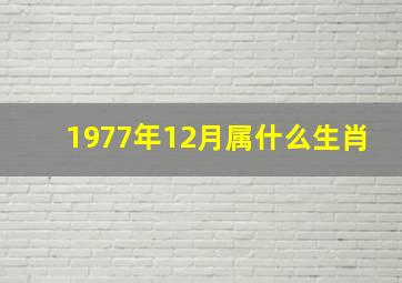 1977年12月属什么生肖