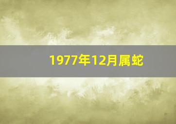 1977年12月属蛇