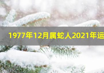 1977年12月属蛇人2021年运势