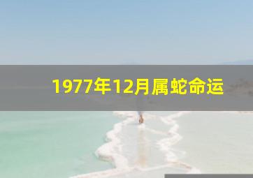 1977年12月属蛇命运