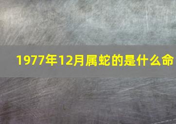 1977年12月属蛇的是什么命