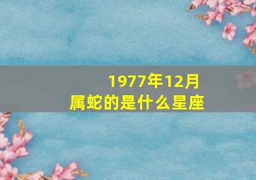 1977年12月属蛇的是什么星座