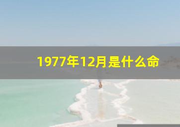 1977年12月是什么命