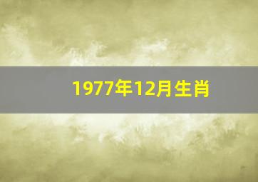 1977年12月生肖