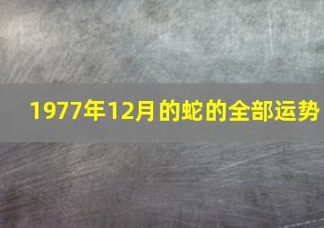 1977年12月的蛇的全部运势