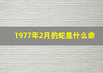 1977年2月的蛇是什么命