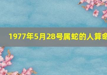 1977年5月28号属蛇的人算命