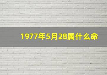 1977年5月28属什么命