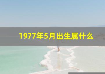 1977年5月出生属什么