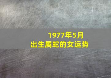 1977年5月出生属蛇的女运势