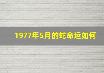 1977年5月的蛇命运如何