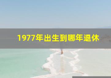 1977年出生到哪年退休