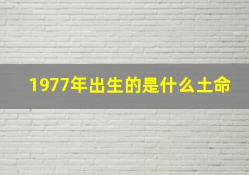 1977年出生的是什么土命