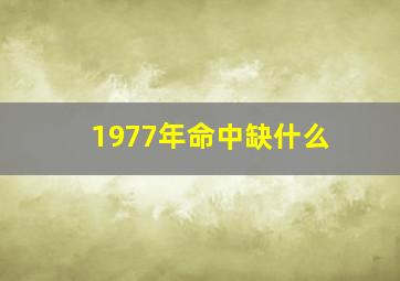 1977年命中缺什么