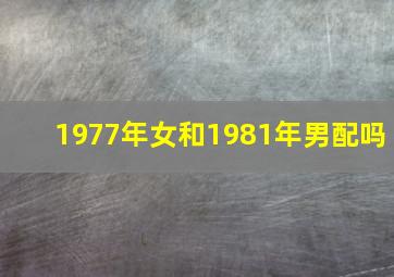 1977年女和1981年男配吗